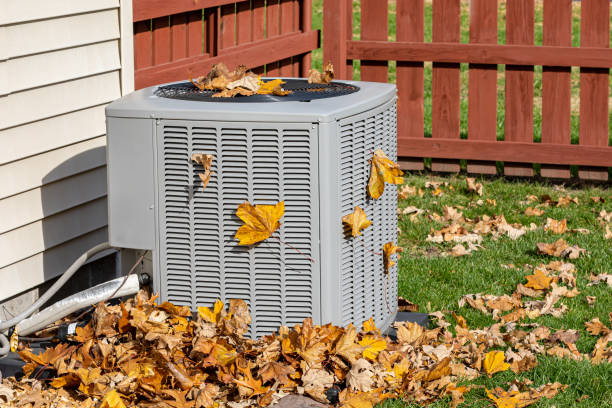 Best Affordable HVAC services  in Burgaw, NC